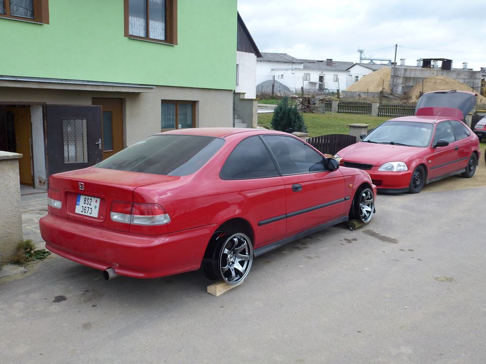 Před zimním spánkem