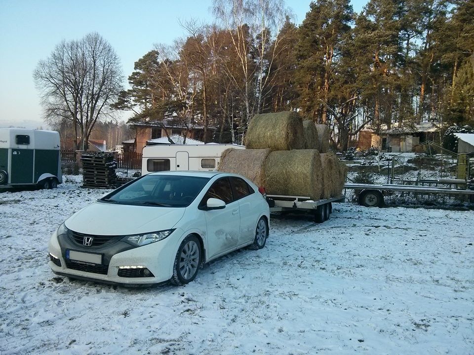 japonský koně vezou jídlo pro koně...