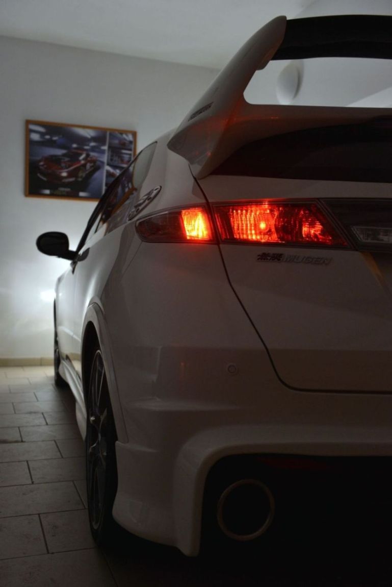 ranní šelma před obrazem :-)