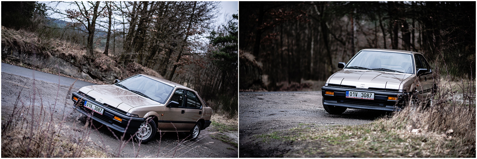 Když křoví hraje popředí ...