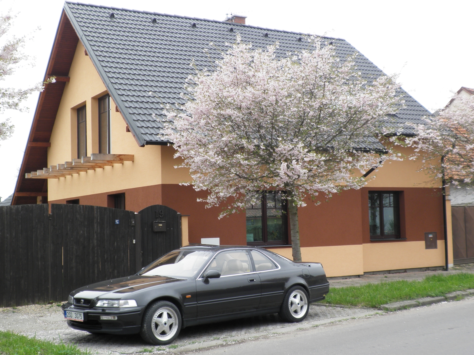 ...ranní jarní pro radost Všem :-)