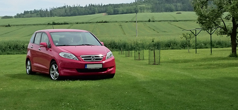 Taky jedna ze zahrádky :)