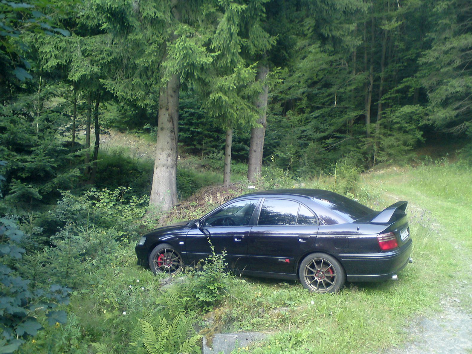 Dneska jsem byl na hřibech.