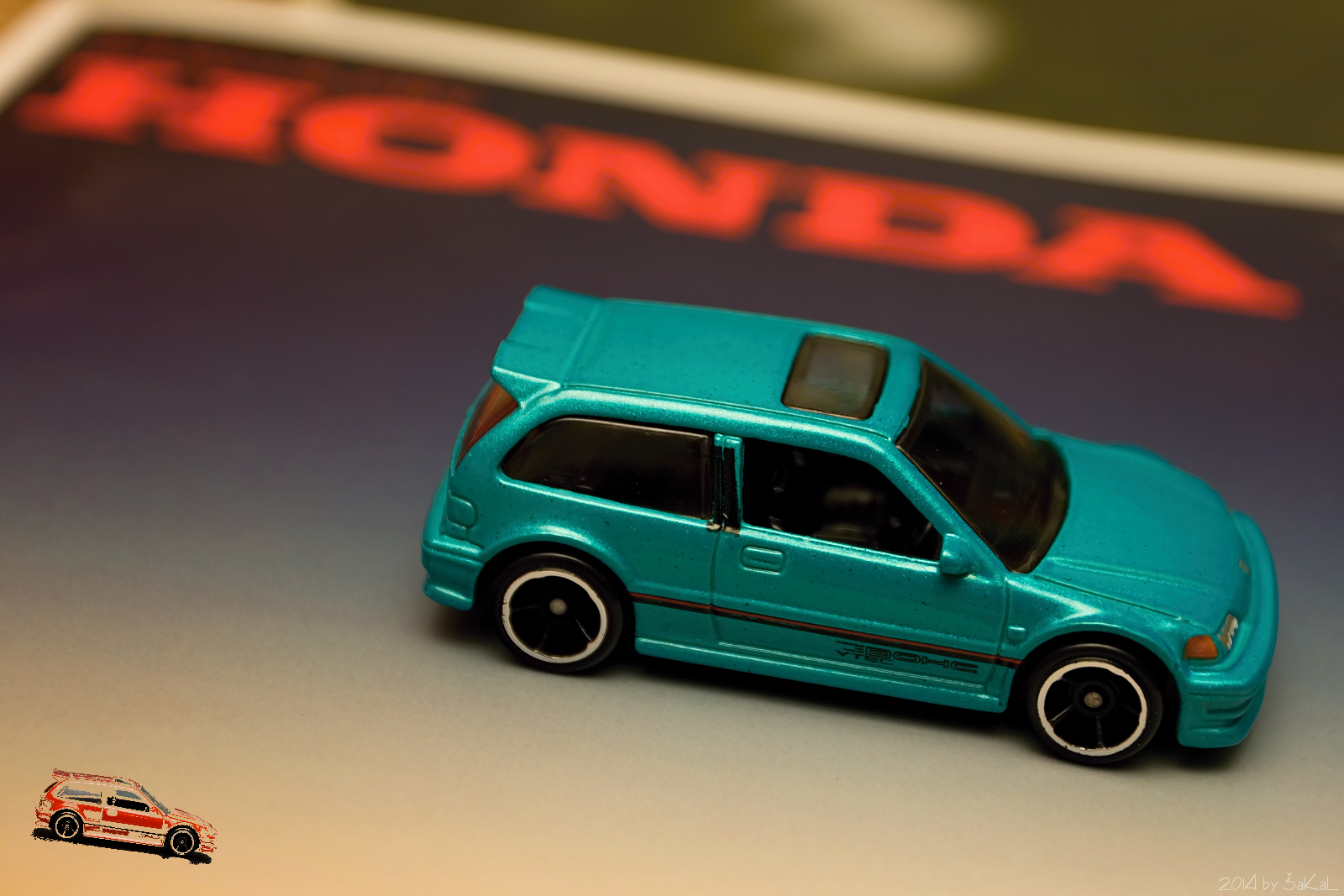 Včerejší úlovek...