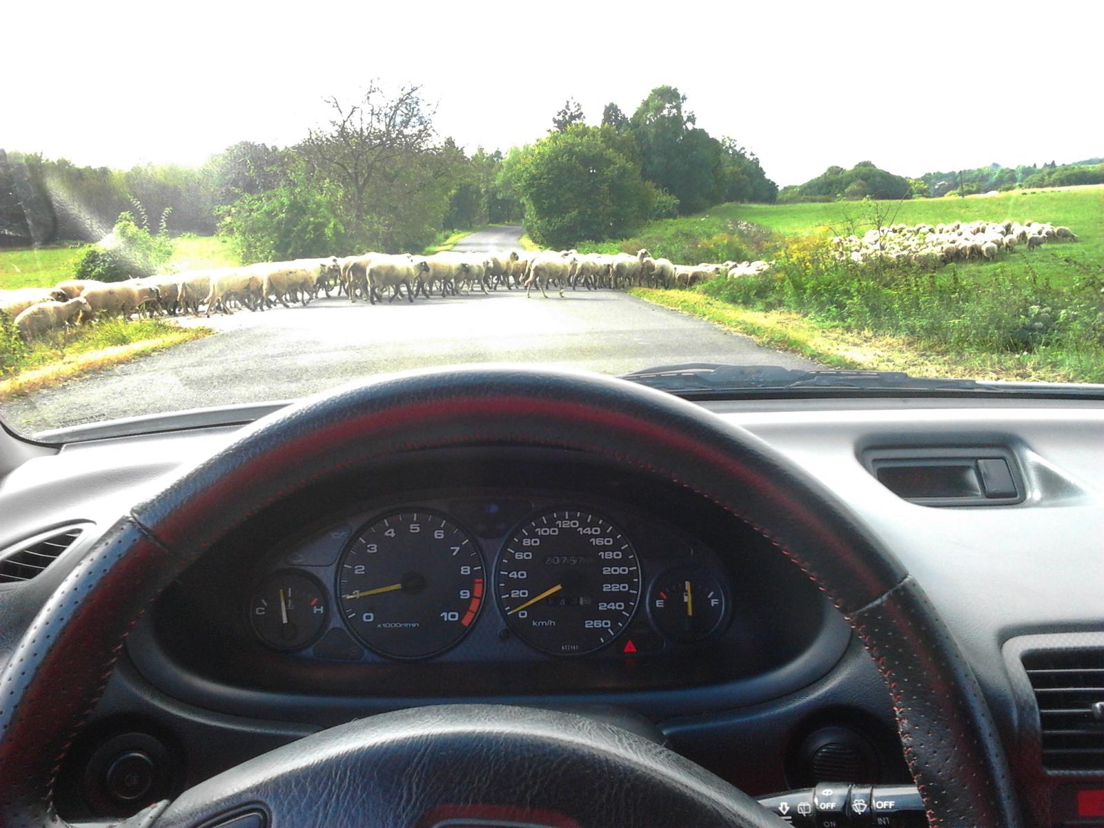 Človek sa ide previesť ...