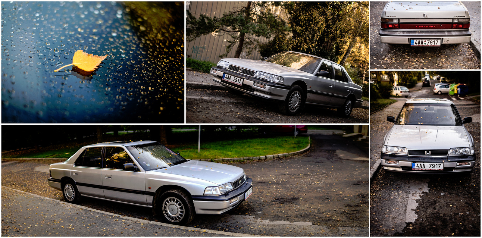 Trocha podzimního luxusu ...