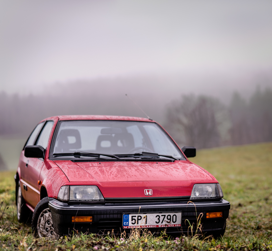 Mlžný drsňák II.