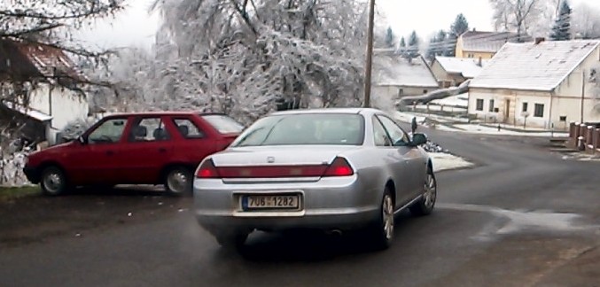 Sbohem věrný příteli.