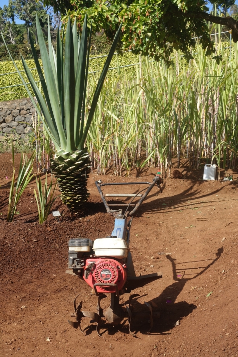 pozdrav z Madeiry...