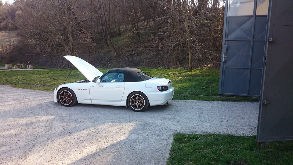 Snehulienka odzimovana :)