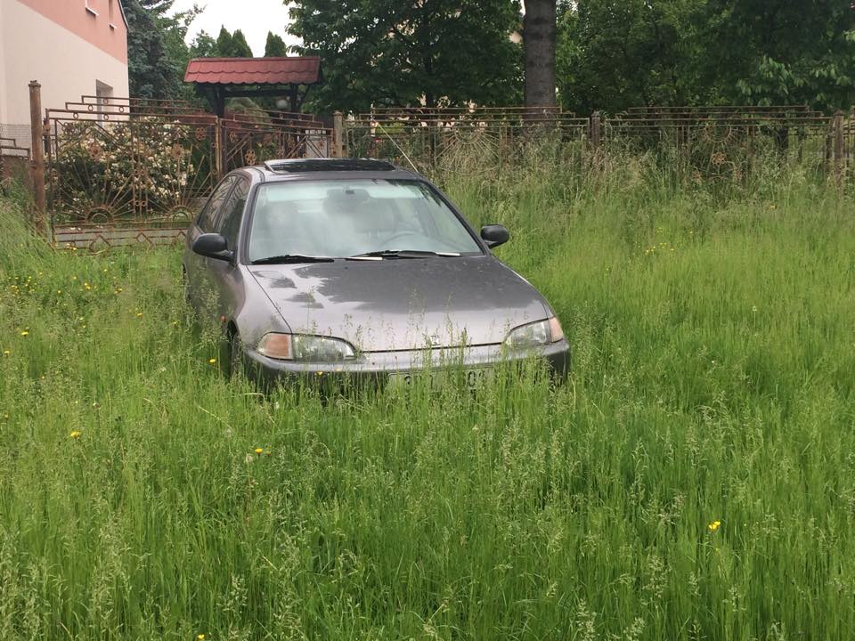 pujcim kamosovi Hondu a