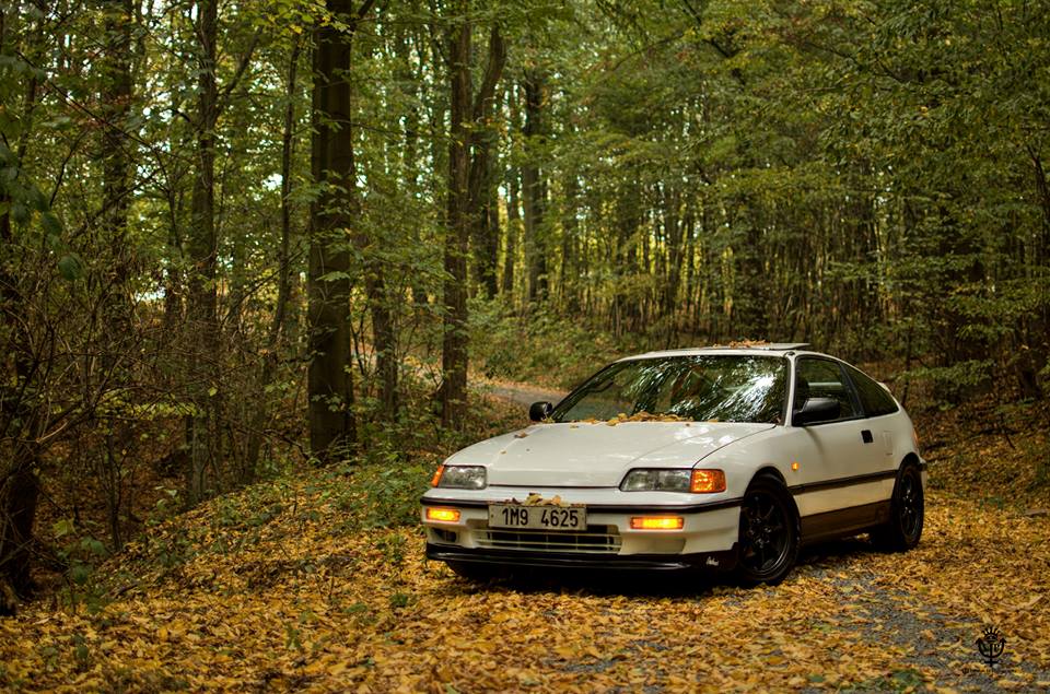 Konecne mam poradne nafocene cero