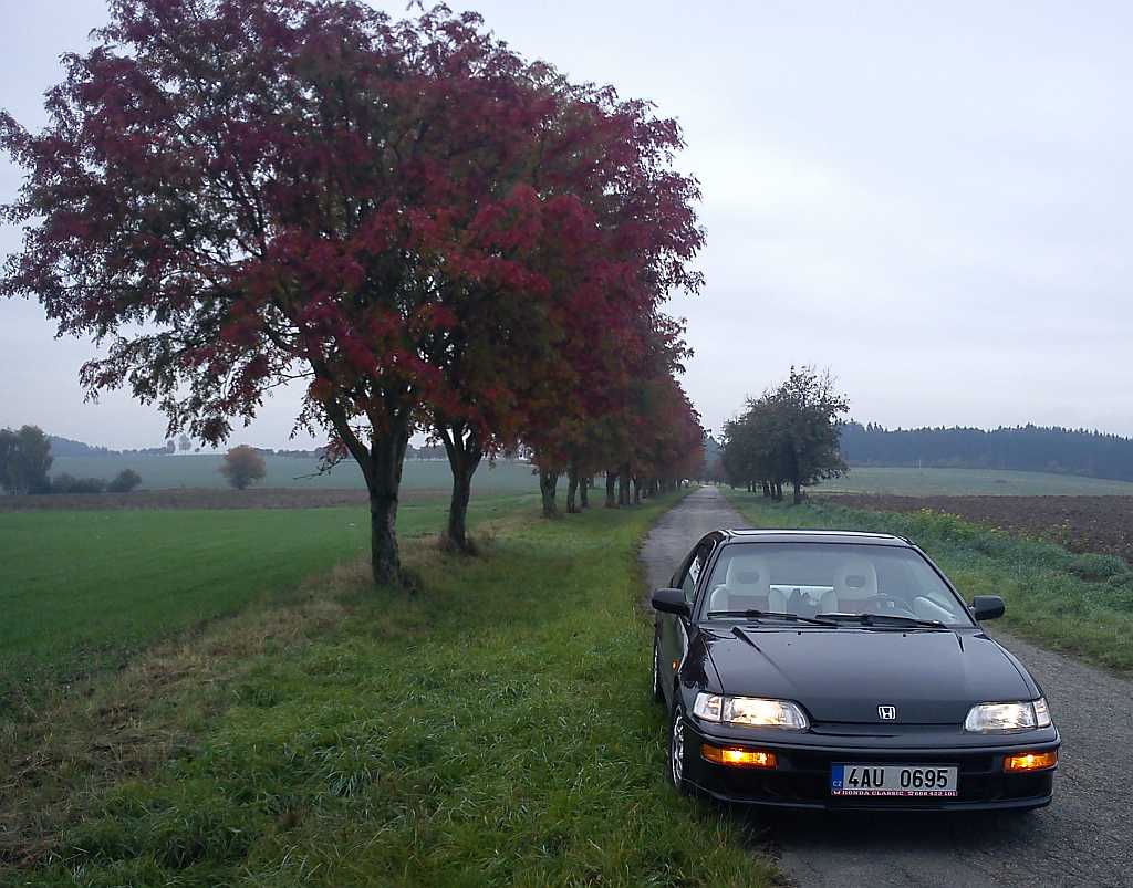 Také jsem venčil :)