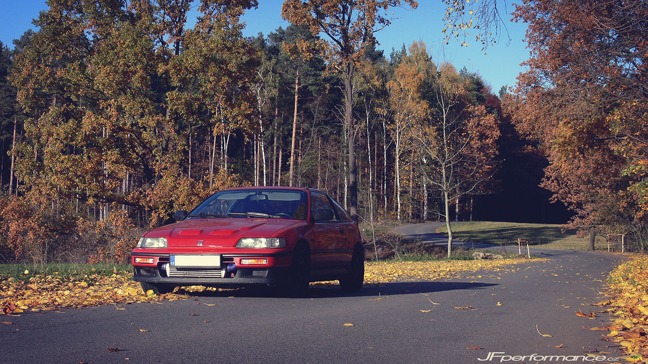 Dneska bylo "turbo" pěkně :)