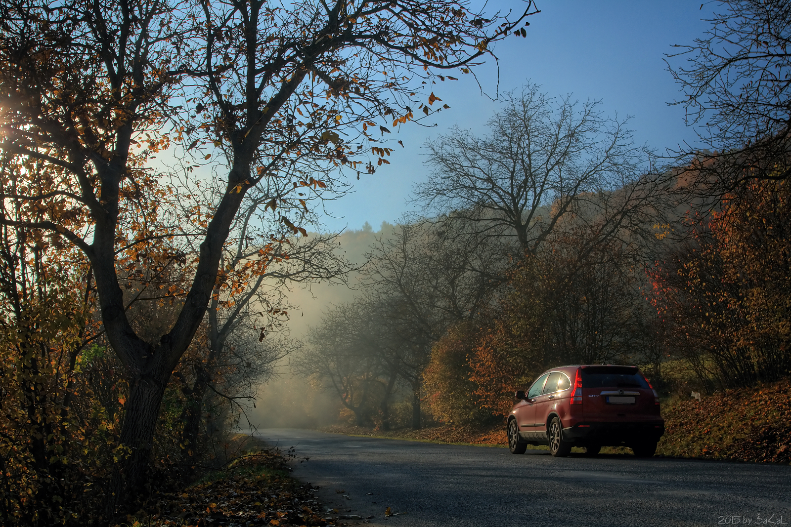 Taky jsem dneska musel...