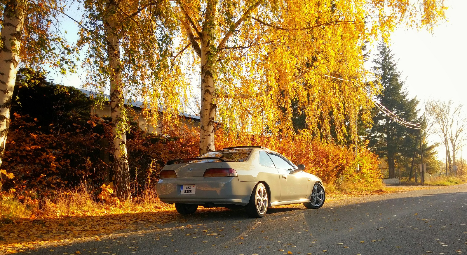 Listopadová neděle jak vyšitá...