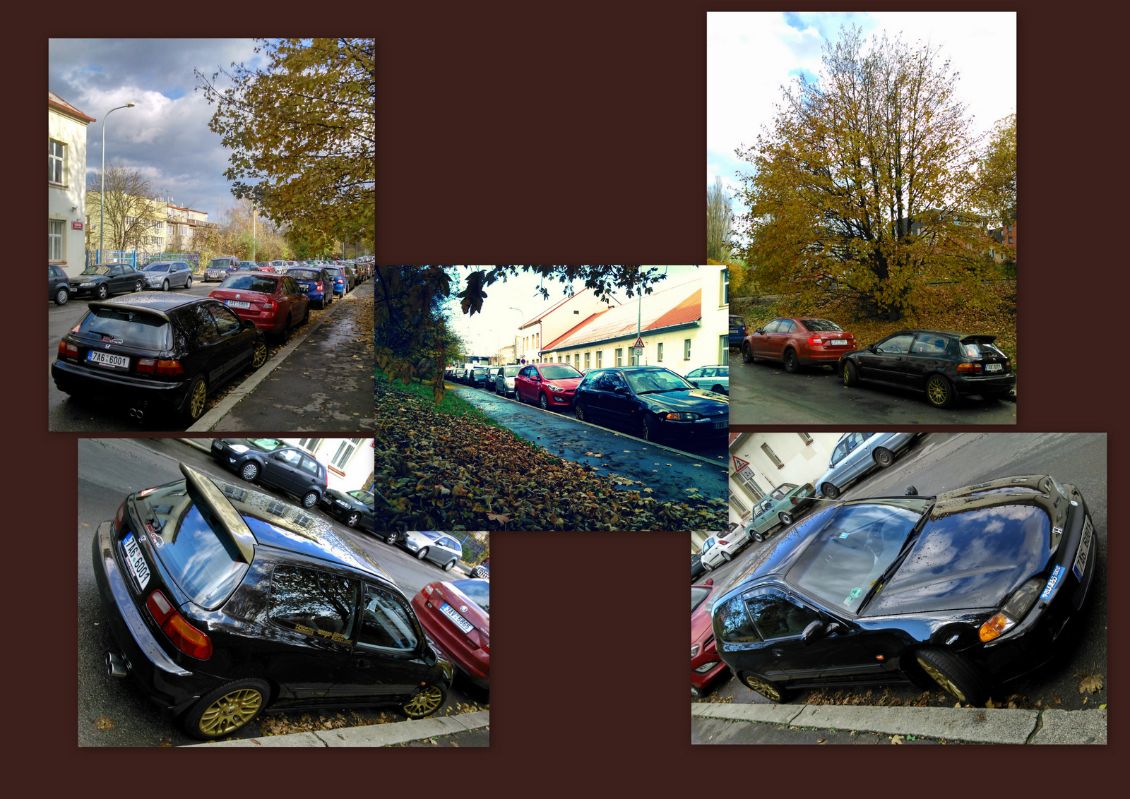 Podzimní variace ...