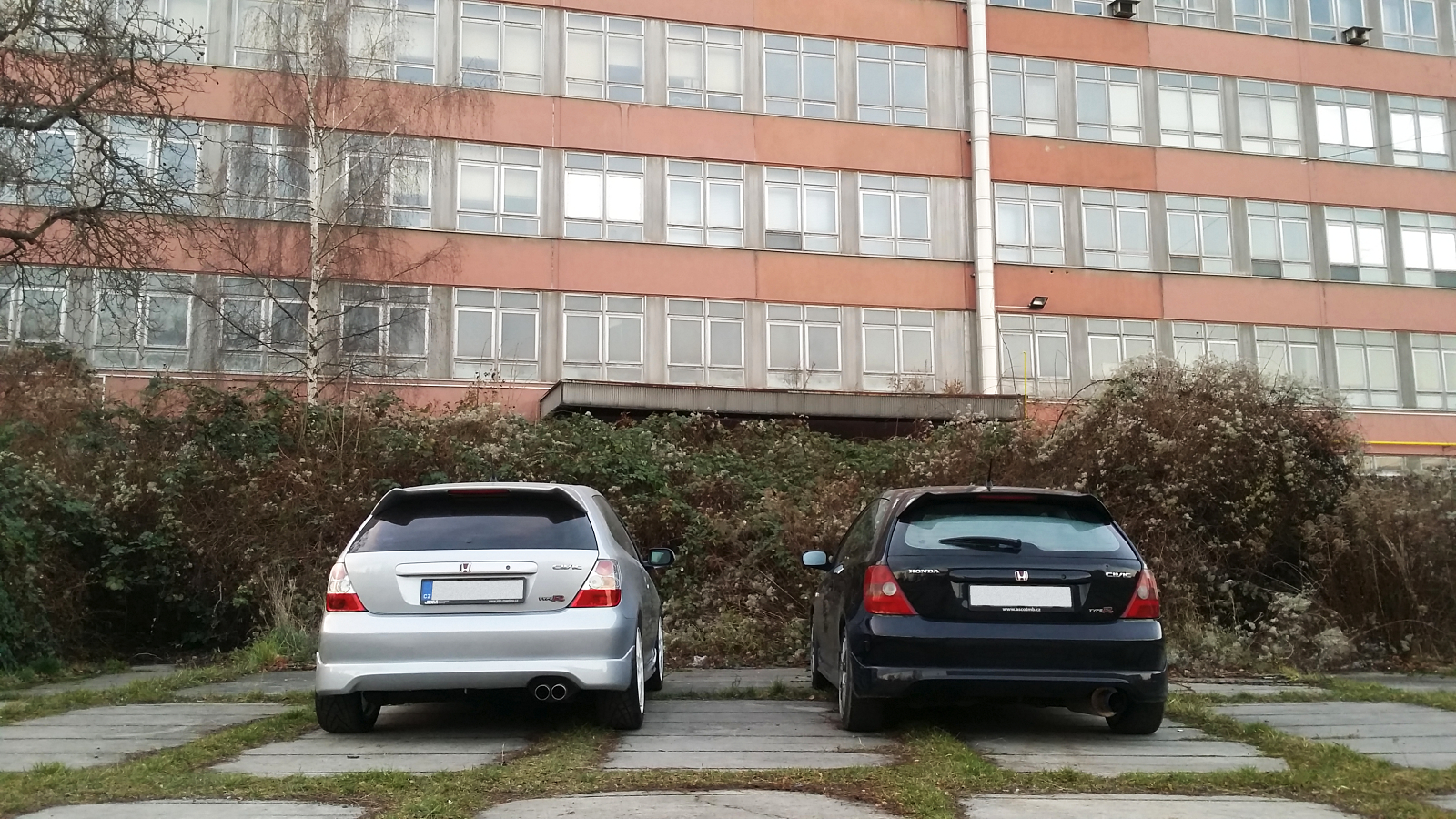 Skoro jako Black&White...