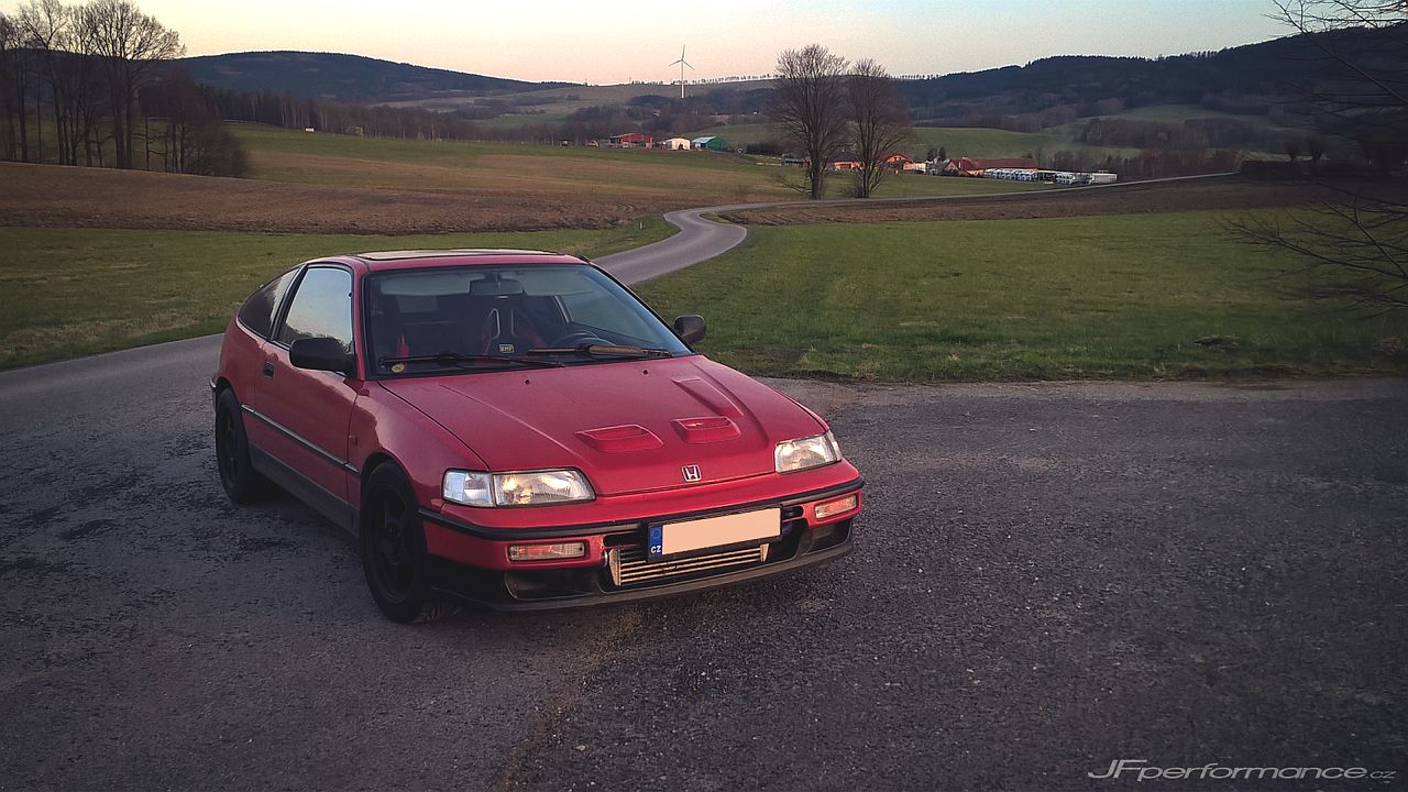 Podvečerní vyvenčení