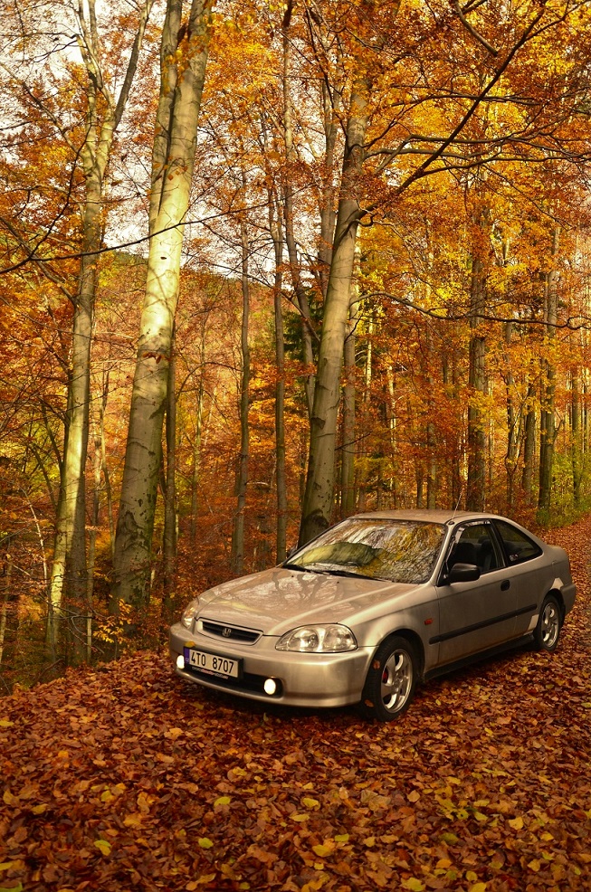 Jedna podzimní ....