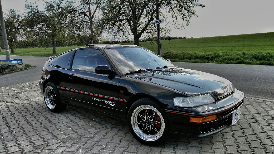 nove backurky :)