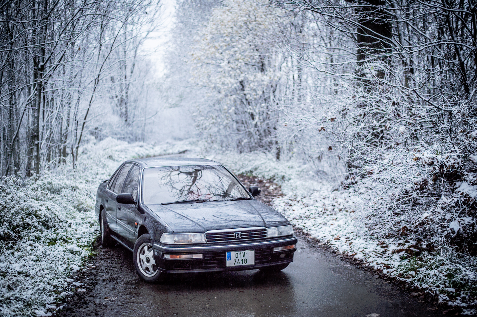 Už není podzim, už je tady ... :(