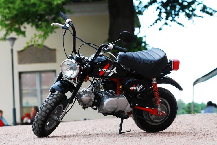 H. Monkey - moje bejvalka