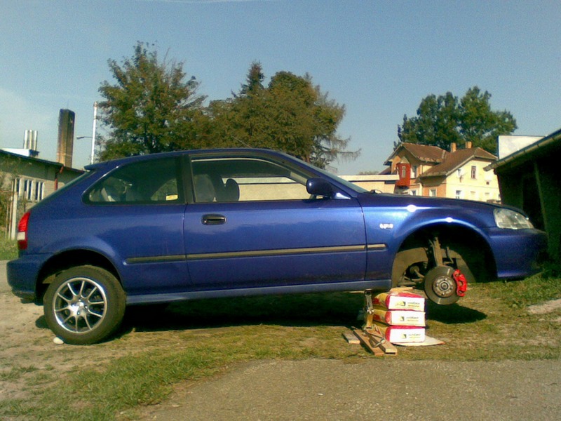 Když nejsou kozy...