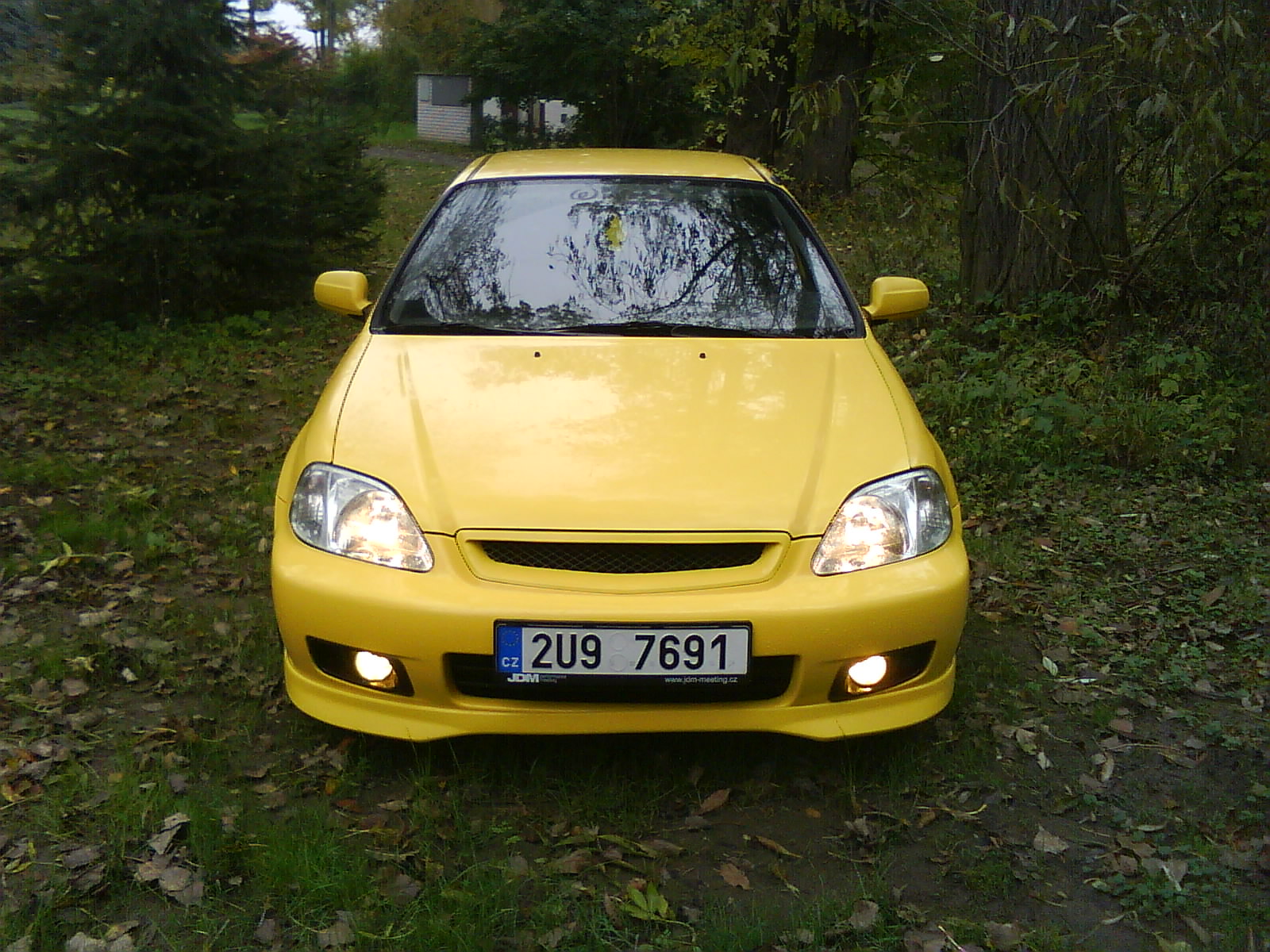 posledni foto s mlhovkou:-(