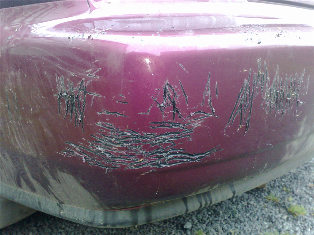 Práce našeho debilního psa přes noc