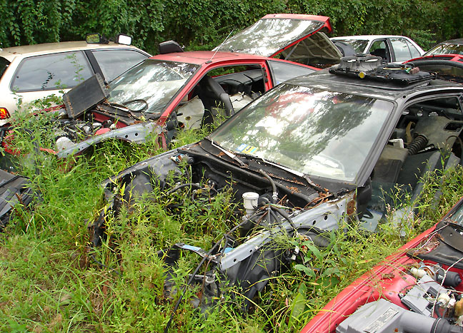 Nasel jsem jednu fotku na "dobrou" noc