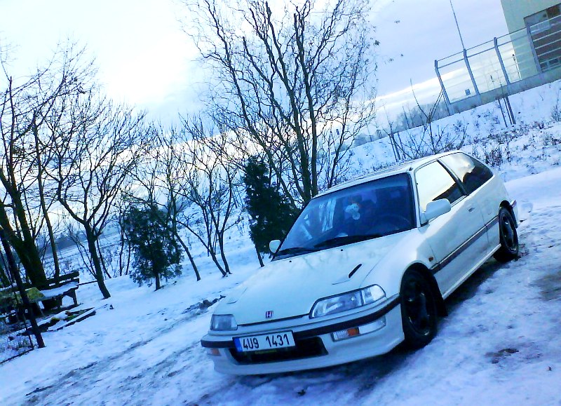 letos byl ježížek o něco dříve :p