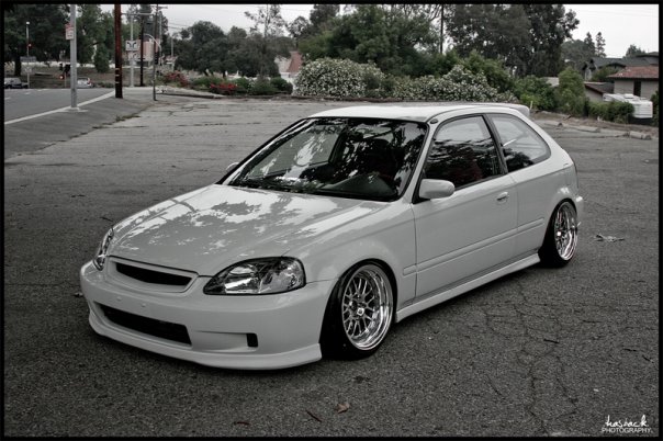 Tady jedna krasavica...