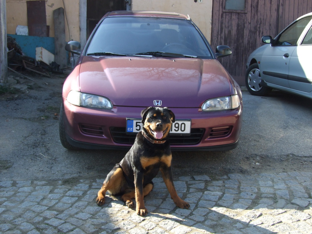 tohle platí na kočky