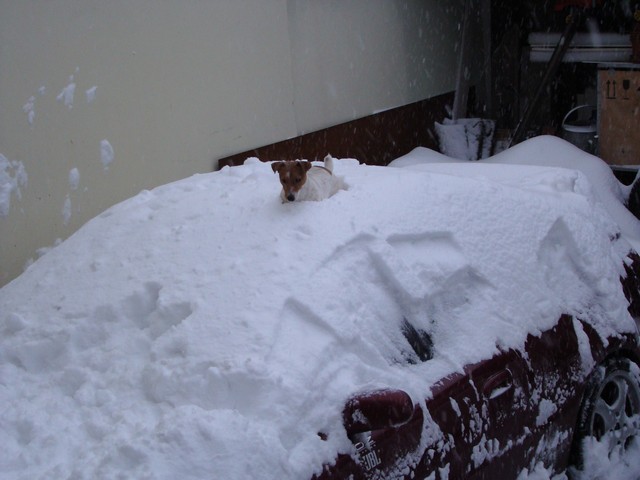 dnešní sněžení :-)