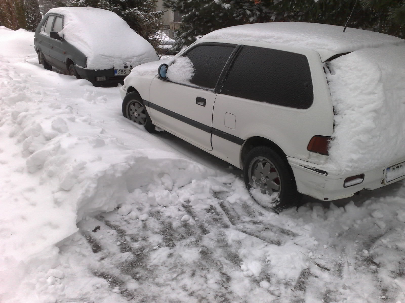 Vyprostil jsem boba;-)