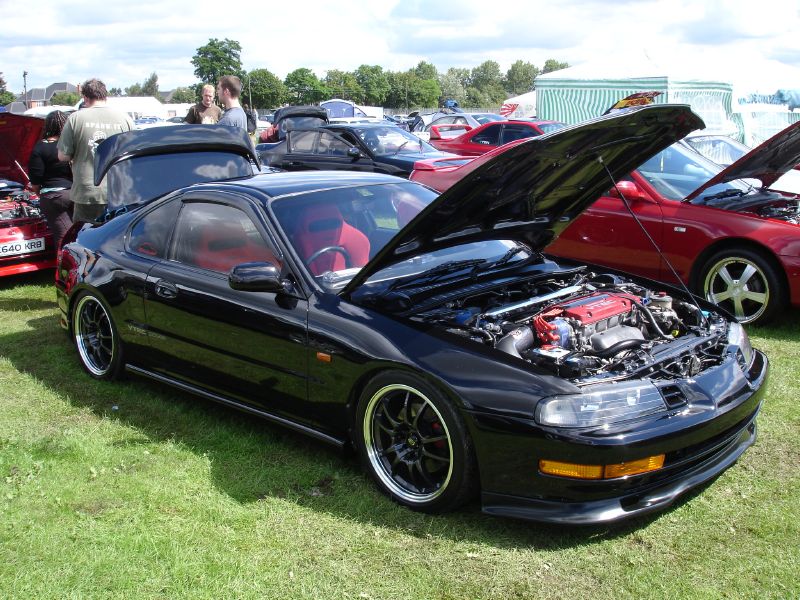 Black Lude