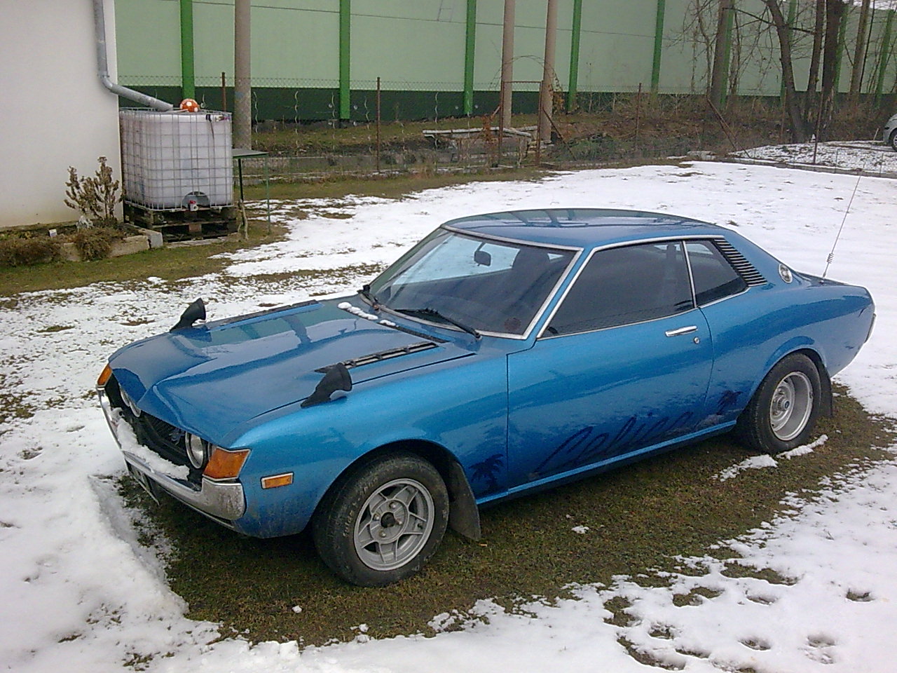 Dnes viděn krasavec :)