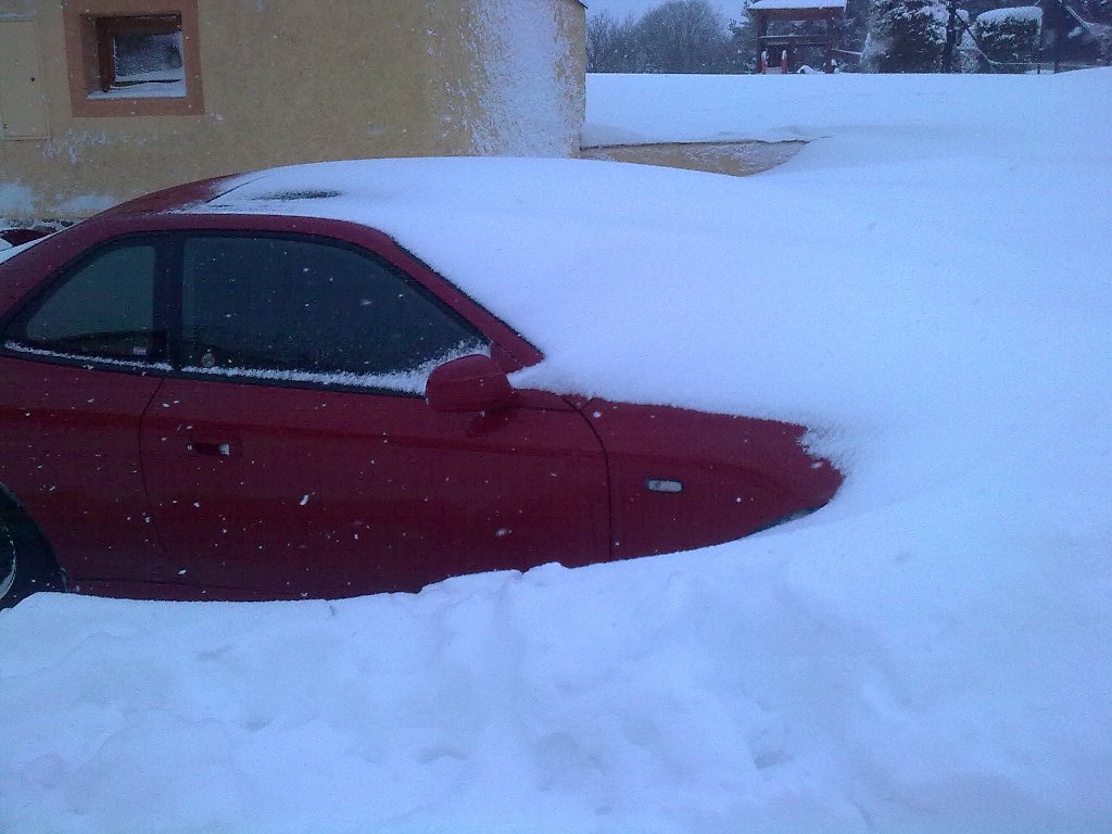 schovávaná s autem