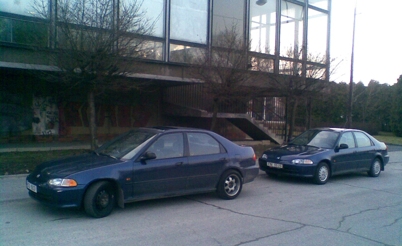 Dneska jsme potkali sestřičku ...