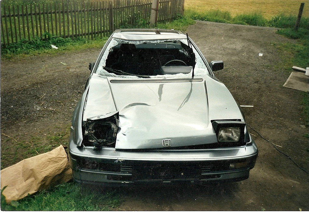 takhle to vypadá když "trefíš" laň