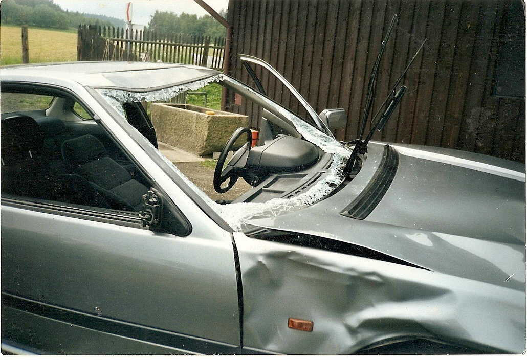 takhle to vypadá když "trefíš" laň