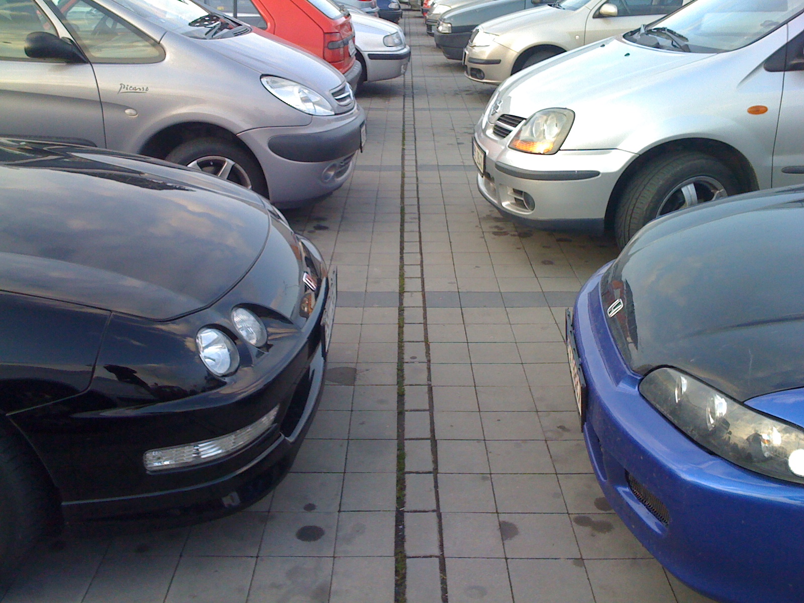 Dnešní úlovek u Globusu v Chotíkově