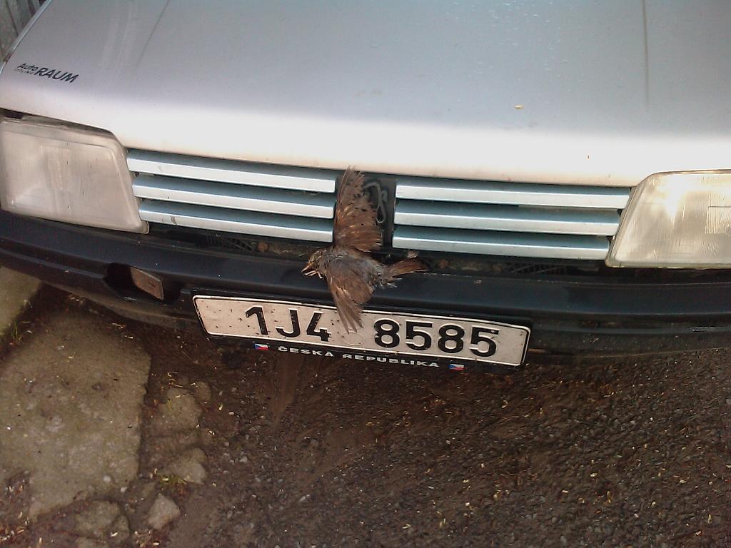 Přestavba wintercaru