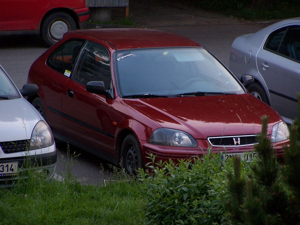 dnesni lesteni, kapota,svetla,blatniky,dvere