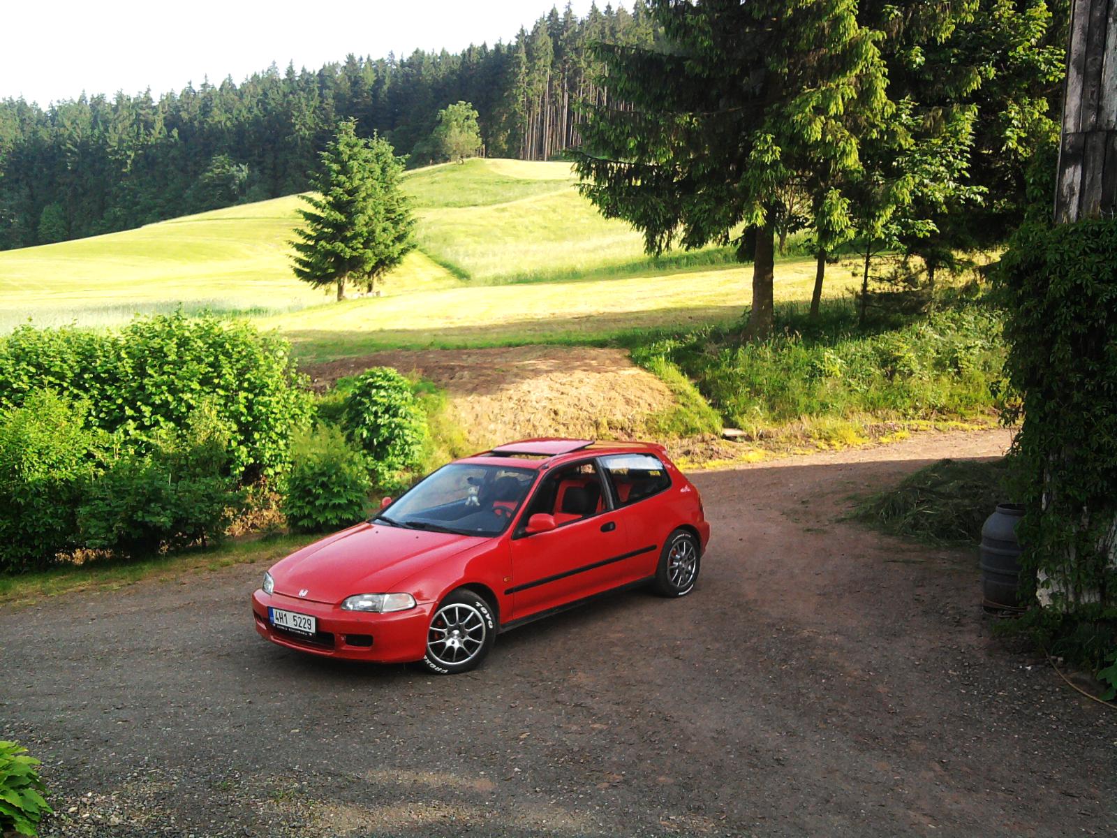 Dneska bylo tak krásně :-)