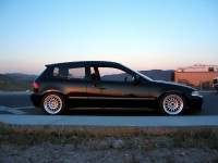 0018-vi.jpg