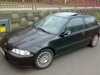 15052009339.jpg