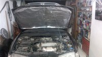 2011-11-10-050.jpg