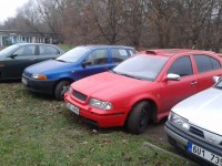 2011-11-19 14.12.11.jpg